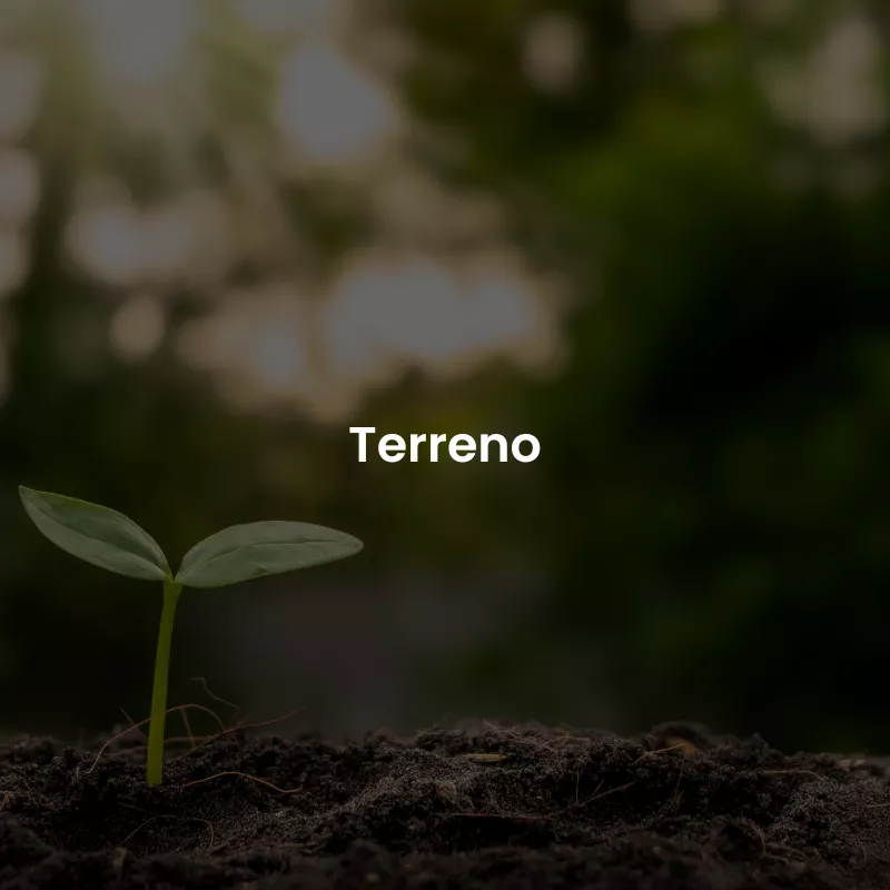 Terreno